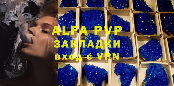 трава Иннополис