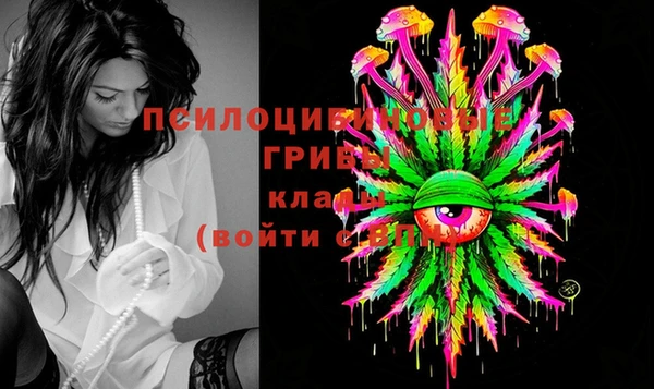 трава Иннополис