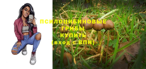 трава Иннополис