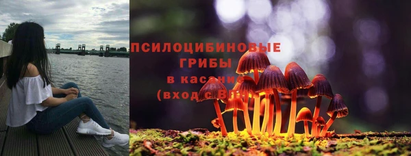 трава Иннополис