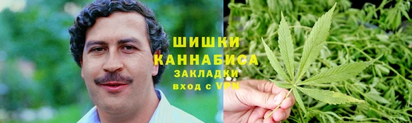 трава Иннополис