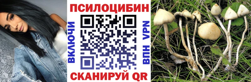 Псилоцибиновые грибы прущие грибы  Купить закладки  Инза 