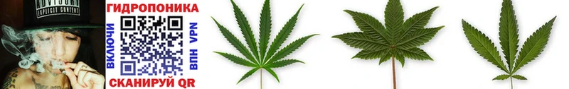 Купить  Инза  МАРИХУАНА THC 21% 